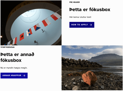 Dæmi um fókusbox á vef HÍ